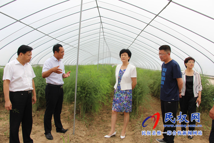 县人大常委会主任周燕到双塔镇调研脱贫攻坚工作 县人大常委会主任周燕到双塔镇调研脱贫攻坚工作