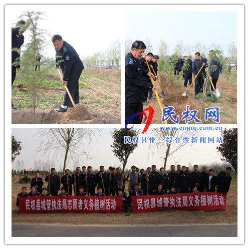 县城管执法局：组织开展义务植树活动