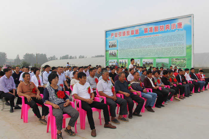 民权县首届农民丰收节现场会在双塔镇召开