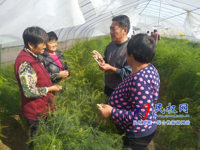 野岗镇积极组织贫困户到兄弟乡镇学习芦笋种植技术 野岗镇积极组织贫困户到兄弟乡镇学习芦笋种植技术