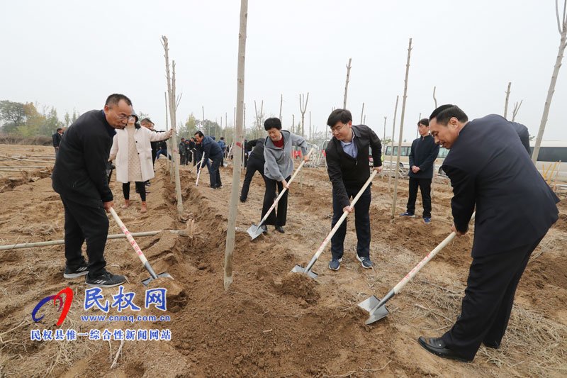 县四家领导参加冬季义务植树活动