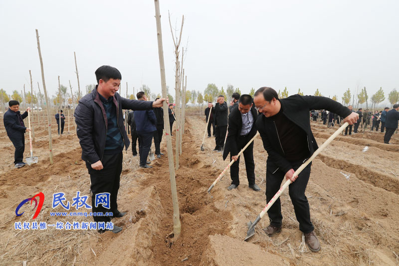 县四家领导参加冬季义务植树活动