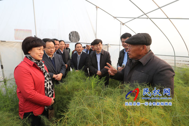 全市脱贫攻坚乡村振兴暨农村人居环境改善工作现场推进会在我县召开