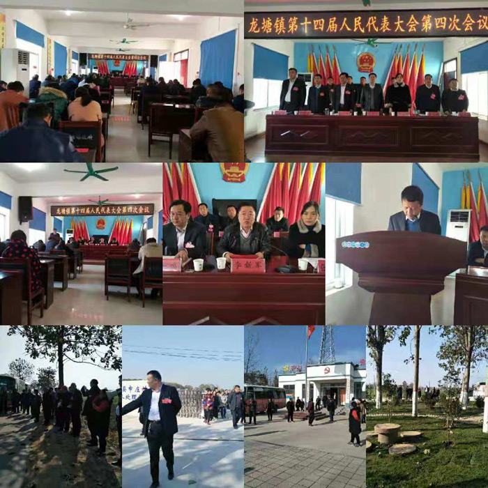 龙塘镇召开第十四届人民代表大会第四次会议 龙塘镇召开第十四届人民代表大会第四次会议
