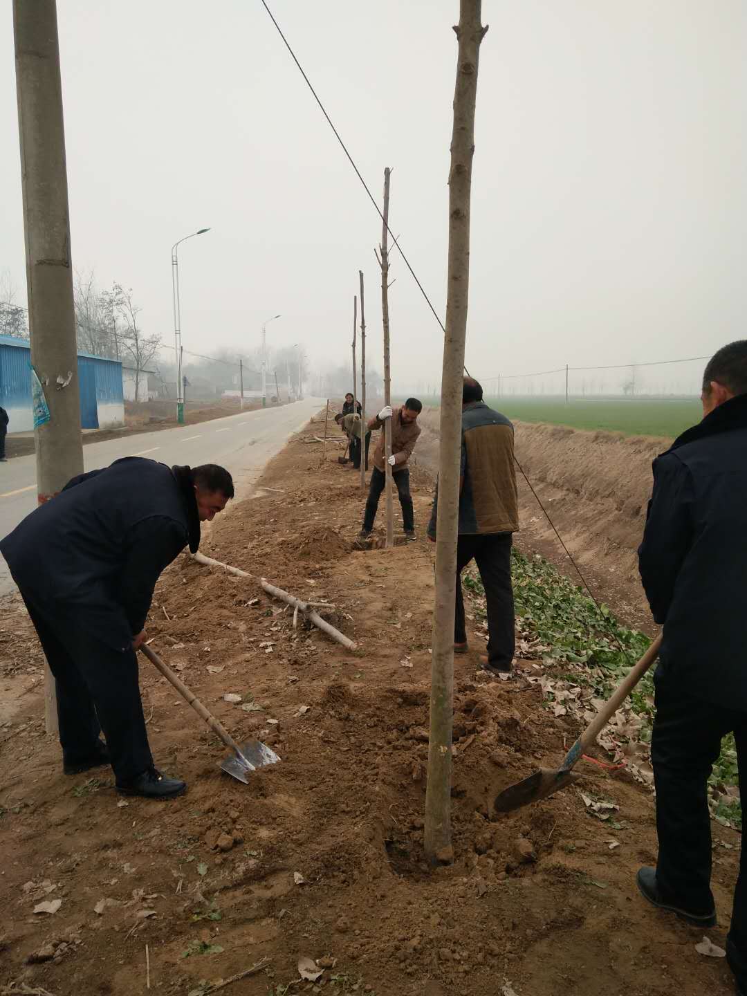 北关镇:冬季植树忙 北关镇:冬季植树忙