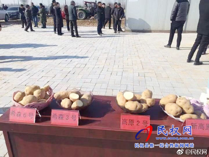 花园乡发展土豆产业确保贫困群众脱贫致富 花园乡发展土豆产业确保贫困群众脱贫致富