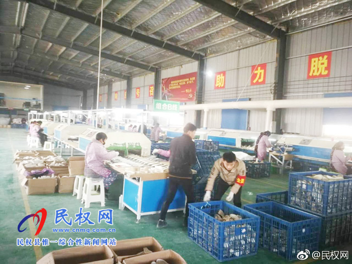 王庄寨镇:扶贫车间托起群众致富梦 王庄寨镇:扶贫车间托起群众致富梦