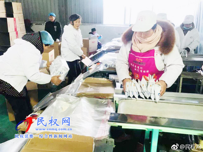 孙六镇:企业添“活”力,生活“好趣味” 孙六镇:企业添“活”力,生活“好趣味”