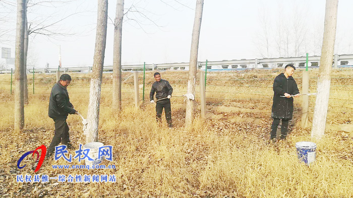 双塔镇组织开展连霍高速公路两侧树木刷白工作 双塔镇组织开展连霍高速公路两侧树木刷白工作