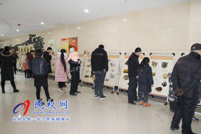 “金猪拱福——乙亥新春生肖猪文物图片联展”走进民权 “金猪拱福——乙亥新春生肖猪文物图片联展”走进民权