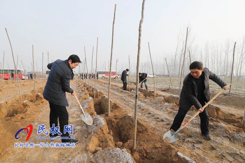 县领导新春植树添新绿 县领导新春植树添新绿