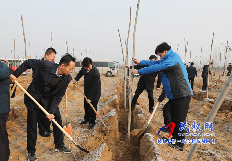 县领导新春植树添新绿