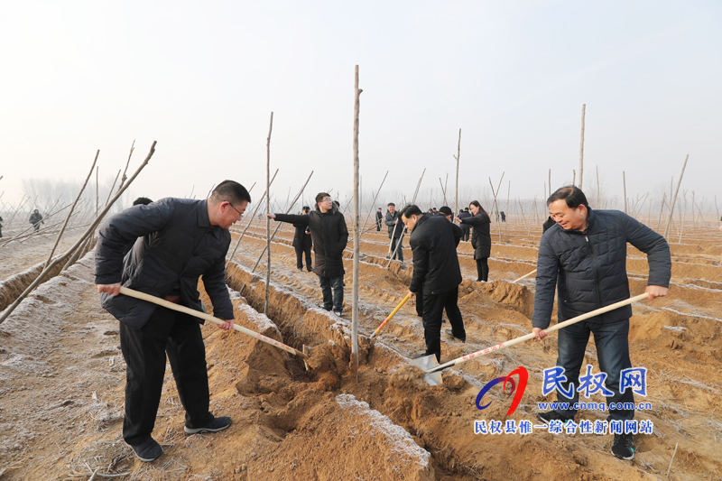 县领导新春植树添新绿 县领导新春植树添新绿