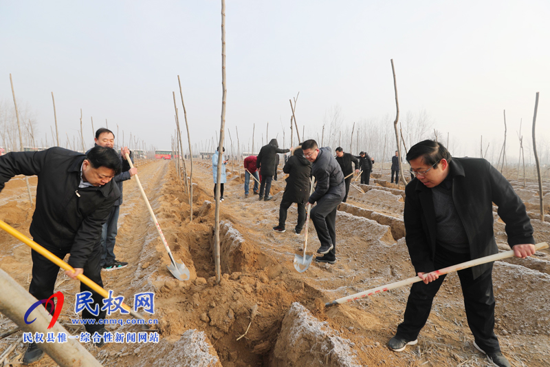 县领导新春植树添新绿 县领导新春植树添新绿