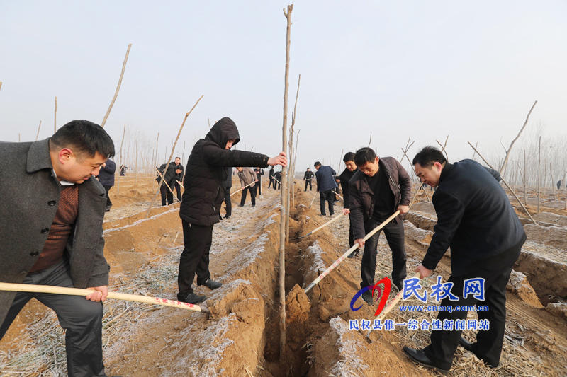 县领导新春植树添新绿