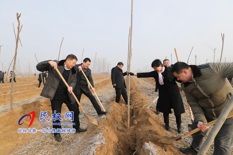 县领导新春植树添新绿 县领导新春植树添新绿