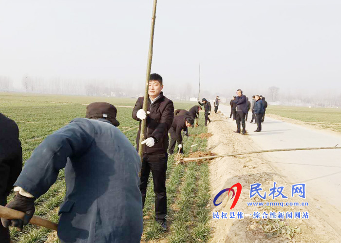 我县各乡镇（街道办）开展新春植树活动