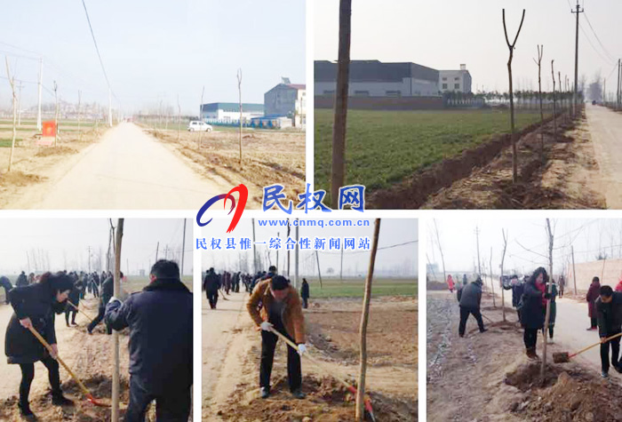 我县各乡镇(街道办)开展新春植树活动 我县各乡镇(街道办)开展新春植树活动