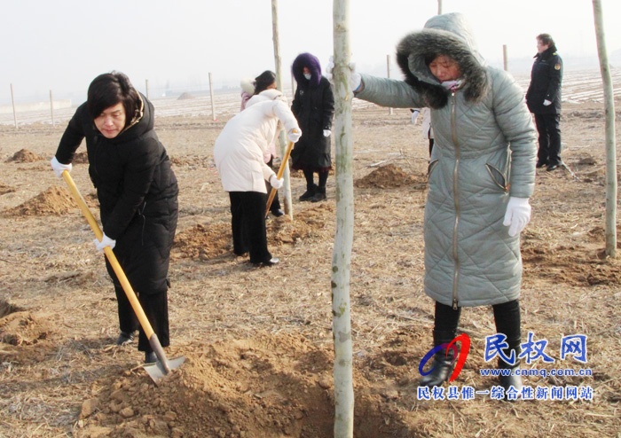 花园乡财政所开展义务植树活动