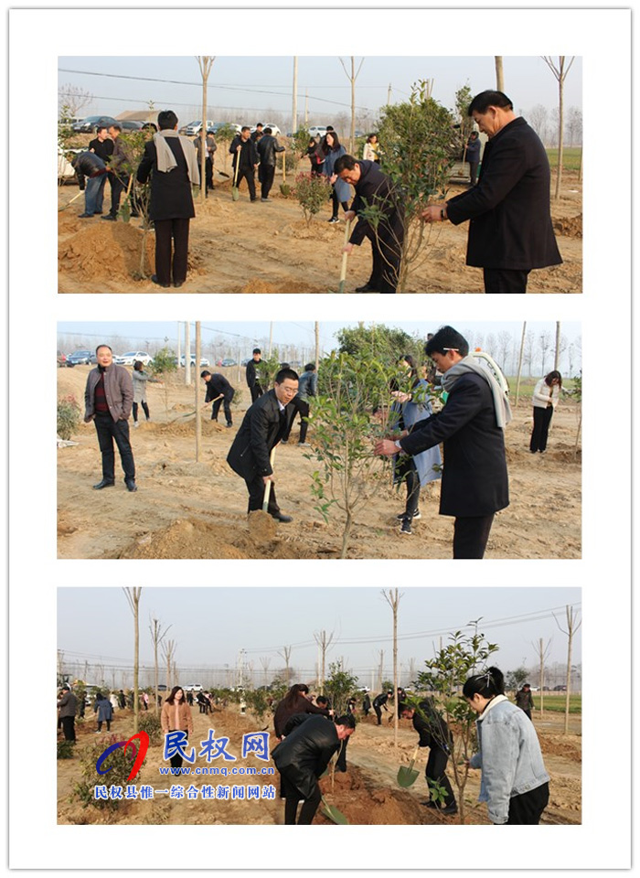 南华办事处:义务植树添新绿 国土绿化正当时 南华办事处:义务植树添新绿 国土绿化正当时