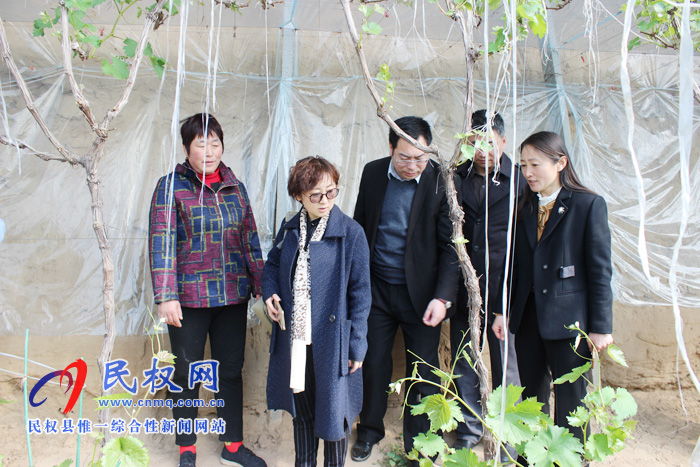 全国妇联到我县调研《中国妇女报》进乡村及巾帼脱贫示范基地情况 全国妇联到我县调研《中国妇女报》进乡村及巾帼脱贫示范基地情况
