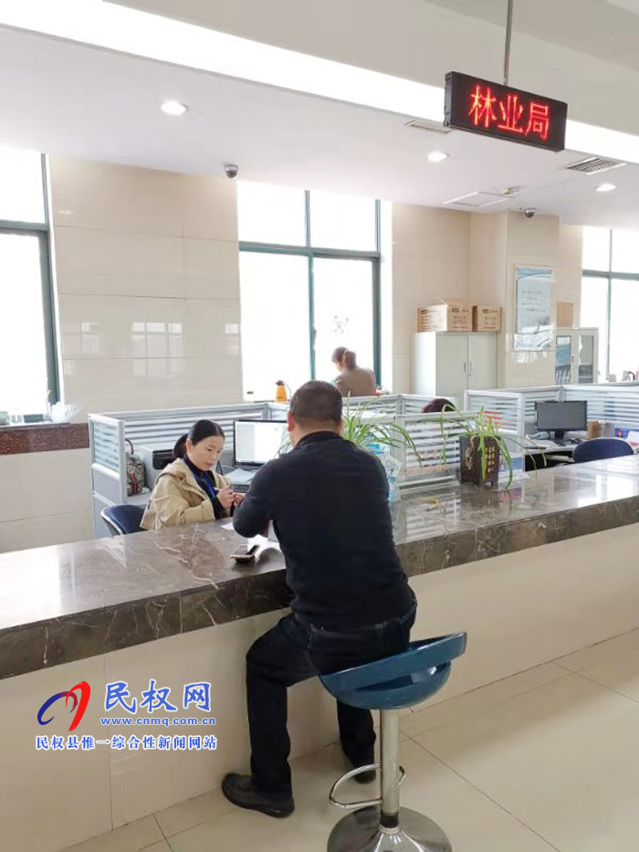 县林业局着力打造服务窗口新形象 县林业局着力打造服务窗口新形象
