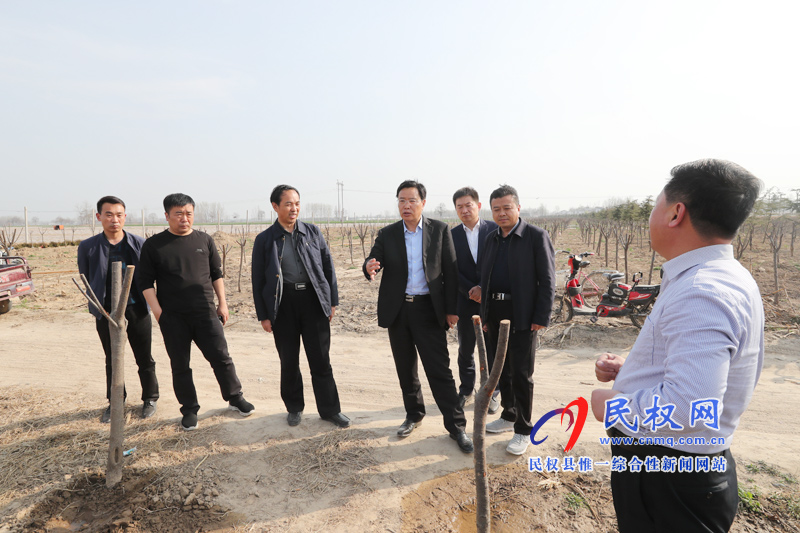 县委书记姬脉常调研指导生态绿化系列工程建设工作 县委书记姬脉常调研指导生态绿化系列工程建设工作