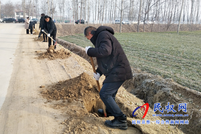 王庄寨镇三项举措扎实开展春季绿化造林工作