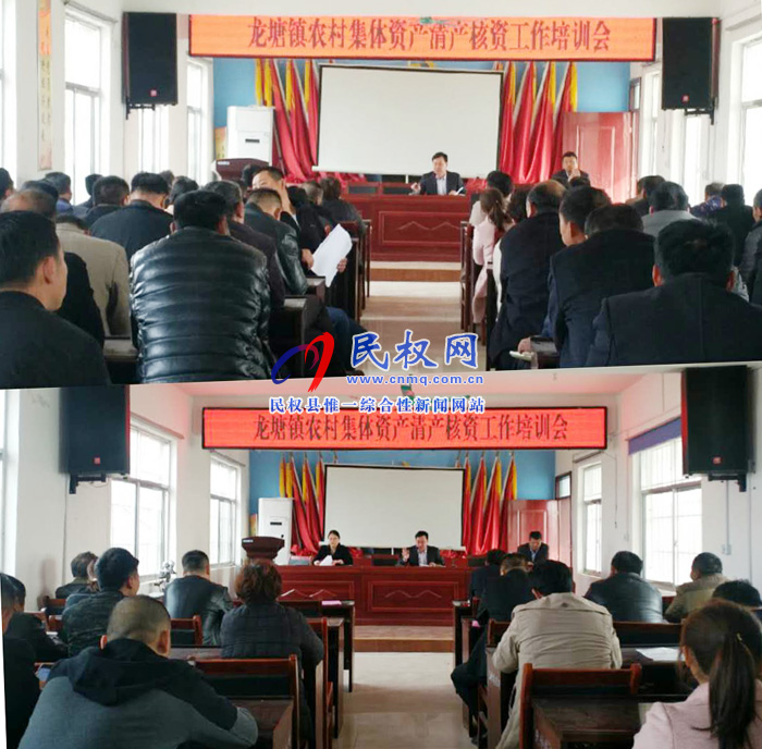 龙塘镇召开农村集体资产清产核资工作培训会 龙塘镇召开农村集体资产清产核资工作培训会