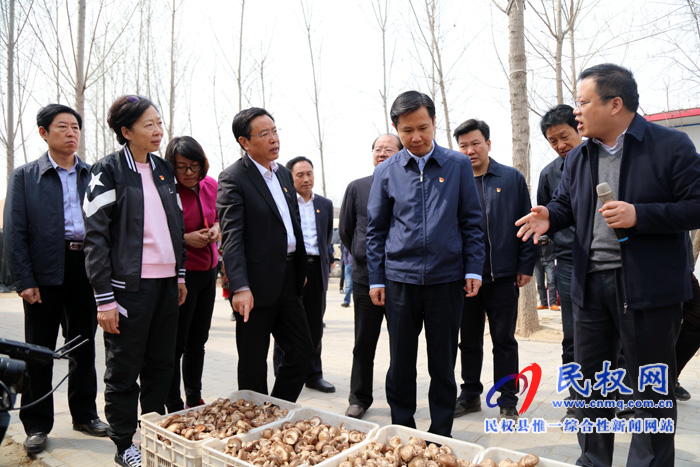 共植媒体林 同迎故道春——省委常委、宣传部长江凌莅民植新绿、造“媒林” 共植媒体林 同迎故道春——省委常委、宣传部长江凌莅民植新绿、造“媒林”