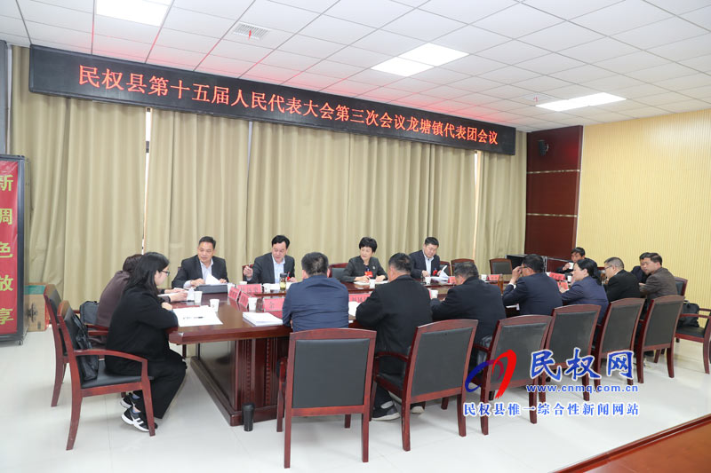 县人大常委会主任周燕参加龙塘镇代表团审议讨论《政府工作报告》 县人大常委会主任周燕参加龙塘镇代表团审议讨论《政府工作报告》