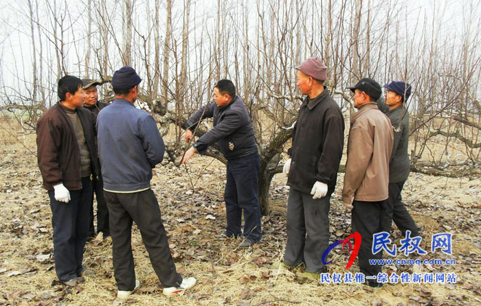 园艺站多措施预防果树“倒春寒” 园艺站多措施预防果树“倒春寒”