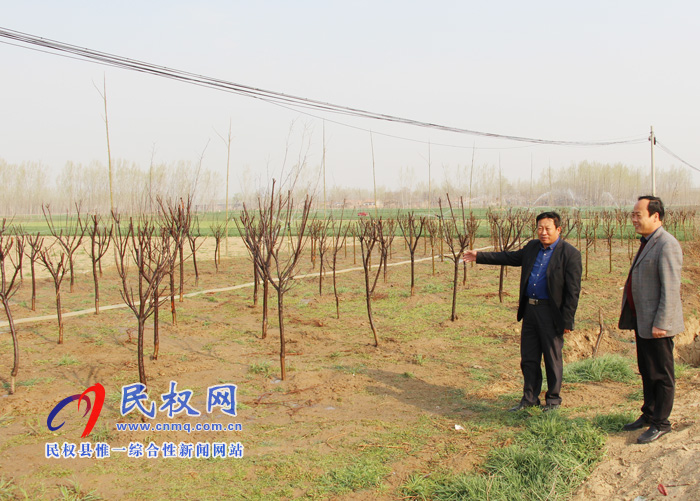双塔镇加强新植苗木管护工作 双塔镇加强新植苗木管护工作