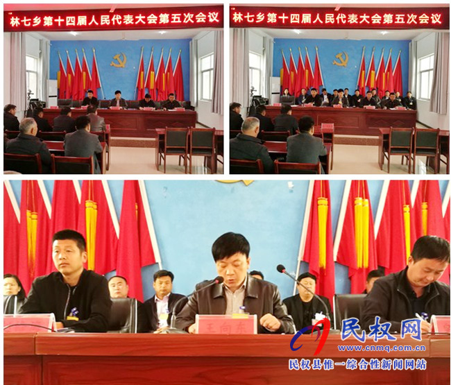 林七乡第十四届人民代表大会第五次会议 林七乡第十四届人民代表大会第五次会议