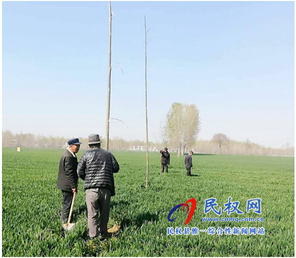 庄子镇:多措并举强抓农田林网建设 庄子镇:多措并举强抓农田林网建设