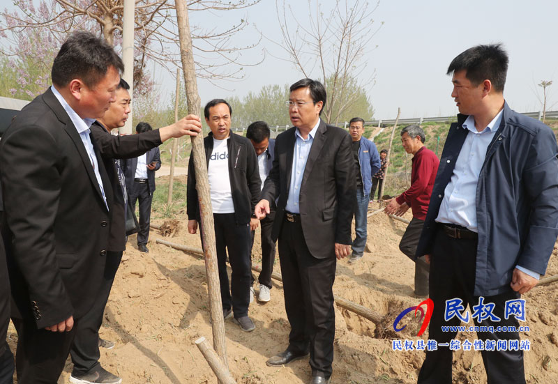县委书记姬脉常调研我县国土绿化提升和生态廊道建设进展情况 县委书记姬脉常调研我县国土绿化提升和生态廊道建设进展情况