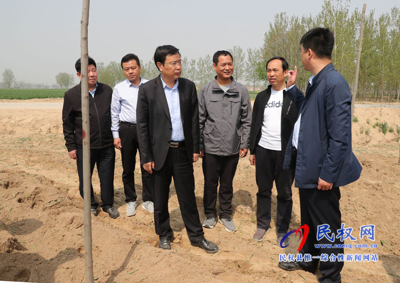 县委书记姬脉常调研我县国土绿化提升和生态廊道建设进展情况 县委书记姬脉常调研我县国土绿化提升和生态廊道建设进展情况