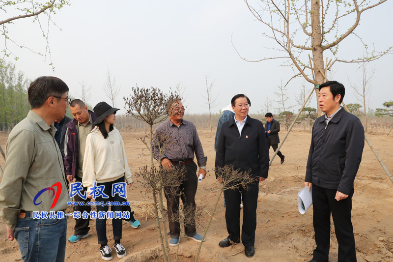 市委常委、宣传部长王全周调研我县申甘林带“媒林”建设情况 市委常委、宣传部长王全周调研我县申甘林带“媒林”建设情况