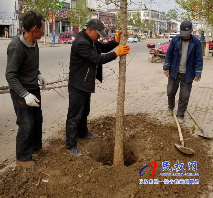 孙六镇:补植绿化树 扮靓镇域风景 孙六镇:补植绿化树 扮靓镇域风景