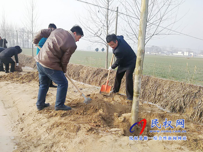 王庄寨镇:推进国土绿化 打造美丽乡村 王庄寨镇:推进国土绿化 打造美丽乡村