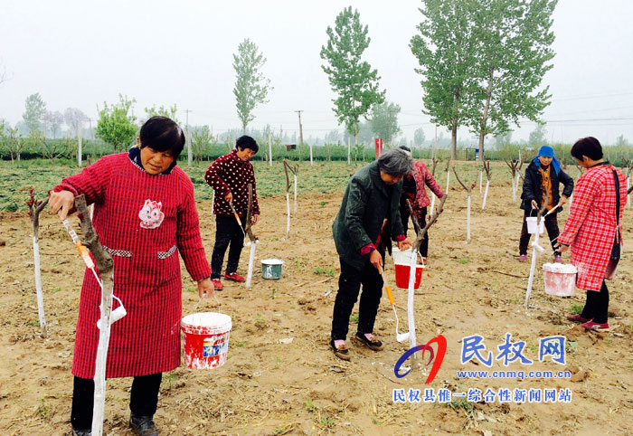 花园乡推进植树造林打造“森林花园” 花园乡推进植树造林打造“森林花园”