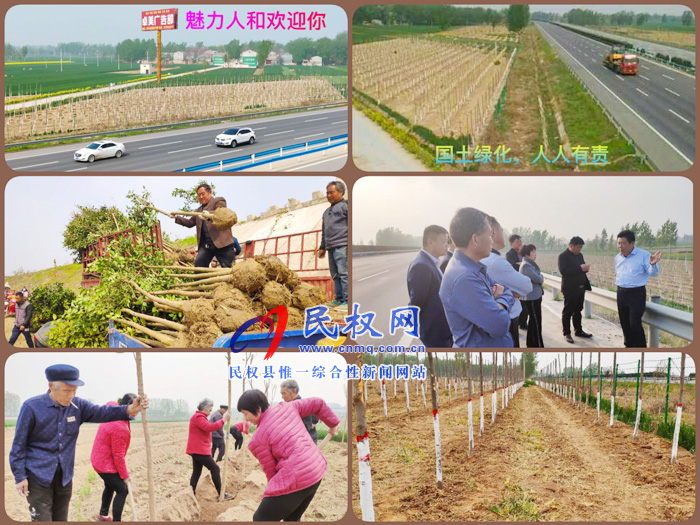 人和镇全线完成连霍高速生态廊道绿化带建设任务 人和镇全线完成连霍高速生态廊道绿化带建设任务
