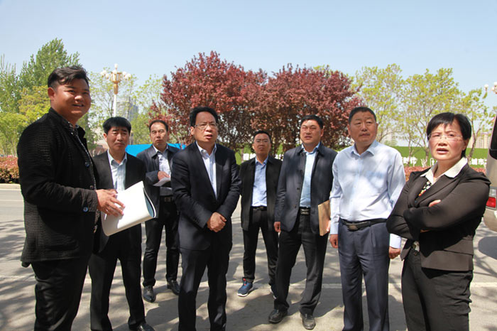 县委常委、常务副县长李启峰查看我县城区绿化工作进展情况 县委常委、常务副县长李启峰查看我县城区绿化工作进展情况
