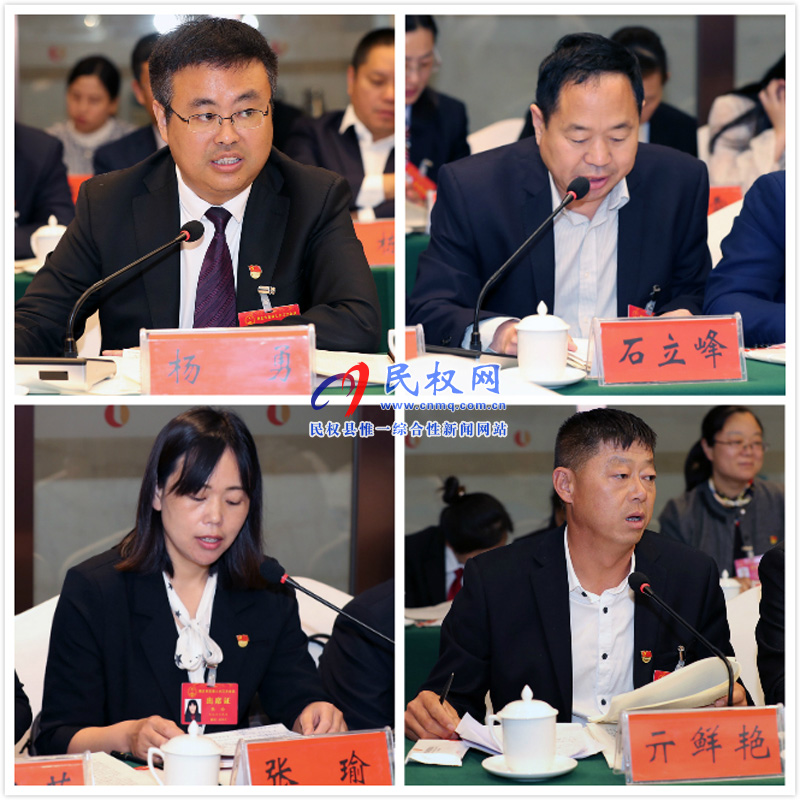 民权代表团认真审议市人大常委会和法检两院工作报告 民权代表团认真审议市人大常委会和法检两院工作报告