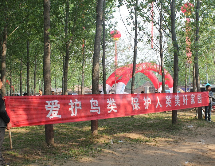 民权县林业发展服务中心组织开展“爱鸟周”宣传活动 民权县林业发展服务中心组织开展“爱鸟周”宣传活动