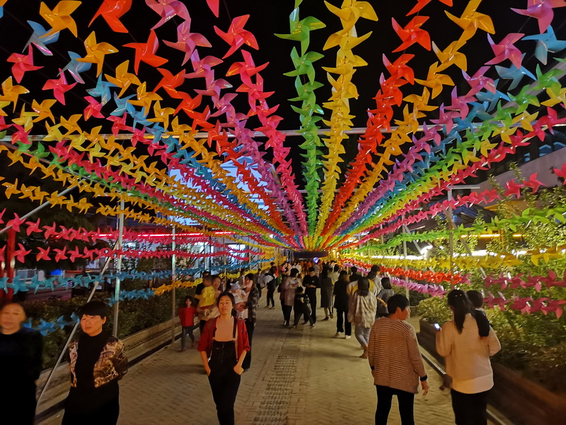 花园乡赵洪坡村“夜游模式”备受游客追捧 花园乡赵洪坡村“夜游模式”备受游客追捧