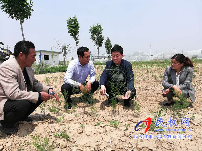 县委常委、副县长房季到双塔镇调研芦笋产业发展 县委常委、副县长房季到双塔镇调研芦笋产业发展