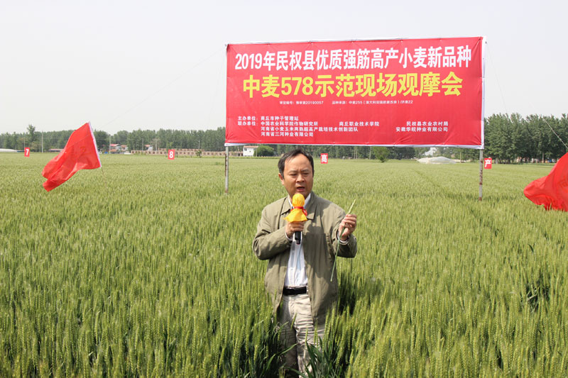 2019年商丘市优质强筋高产小麦新品种示范现场观摩会在民权召开