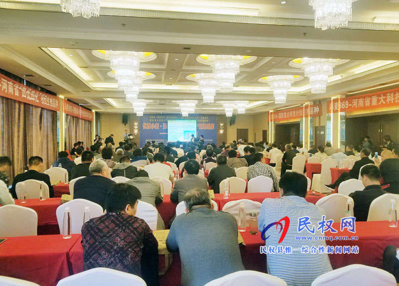 全省优质小麦新品种“郑麦369”订单生产现场观摩会暨产供销衔接会在我县举行 全省优质小麦新品种“郑麦369”订单生产现场观摩会暨产供销衔接会在我县举行