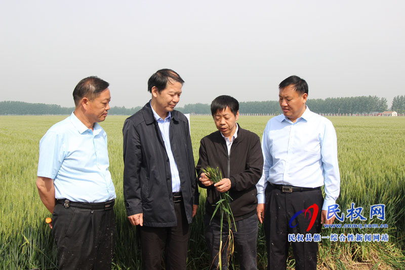 全省优质小麦新品种“郑麦369”订单生产现场观摩会暨产供销衔接会在我县举行 全省优质小麦新品种“郑麦369”订单生产现场观摩会暨产供销衔接会在我县举行
